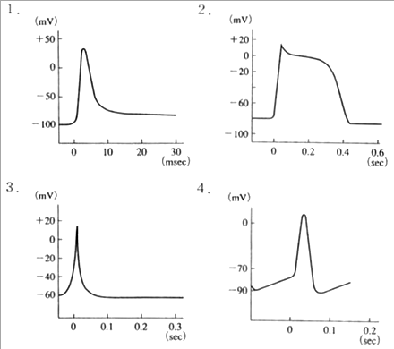 循環の生理学：生理学｜柔道整復師国家試験：過去問｜柔道整復師お役立ちサイト